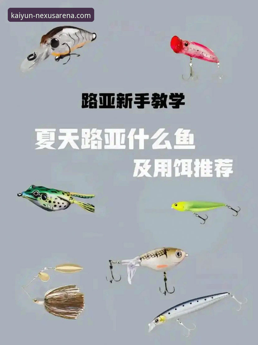 开云体育平台新手入门与高效使用教程